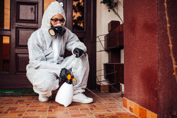 Reliable Wasp Removal contractor in Crete, NE by Show Me Pest Control